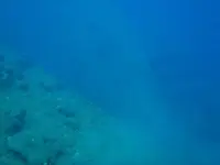 n509685195_2186793_9272.webp