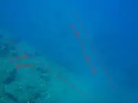n509685195_2186794_9633.webp