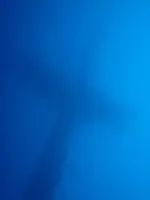 n509685195_2186761_7825.webp