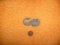 snake 001 (1014 x 760).webp
