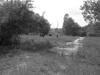 old road bed.webp