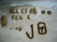 12-06-08 Finds.webp