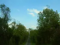 Ozark road.webp