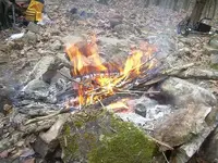 fire.webp