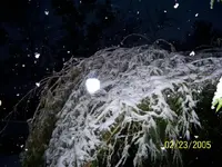 snow 011 (Small).webp