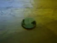 IMAG0003.webp
