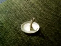 IMAG0002.webp
