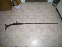 long gun.webp