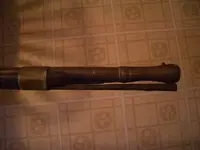 muzzle.webp