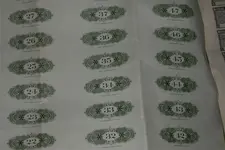 Picture_048.webp