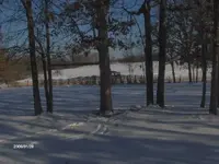 HPIM0491.webp