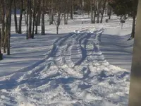 HPIM0495.webp