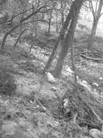 dry creek.webp