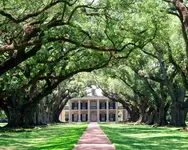 louisiana-plantations.webp