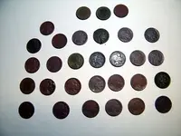 27 buffalos.webp