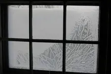 Picture%20005%20(5).webp