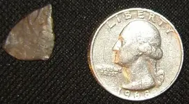 coin1.webp