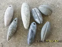 100_3567.webp