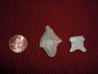 CIMG8544.webp