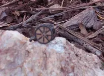 cannon.webp