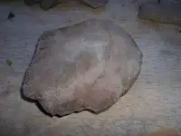 CIMG6678.webp