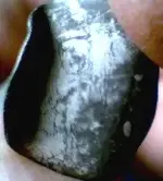 William_III_Sixpence_4.webp