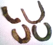 HorseShoes.webp