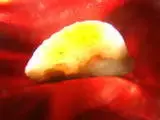 scraperpigment.webp