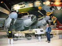 mosquito.webp