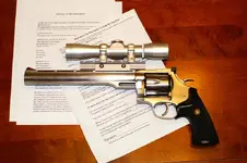 gun 003 (Medium).webp