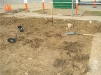 6 NE corner of site.webp