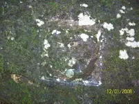 bas relief heart in box.webp