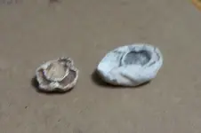 Couple of bullets.webp