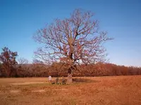 A relic kind of day 006.webp