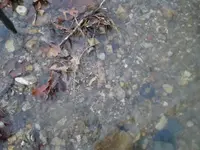 P1040749_resize.webp