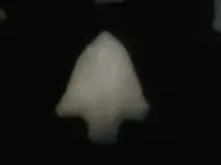 nc 153.webp