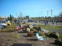 lance 004.webp