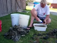 100_0717.webp
