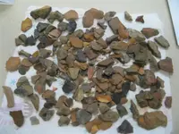 pieces (Medium).webp
