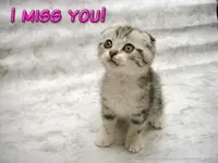 i_miss_you-1574.webp