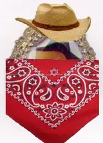 broochbandit.webp