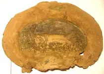 DSCN3025.webp