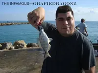 MY PIC AT FORT PIERCE INLET.webp