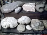 pic dec0 08009.webp