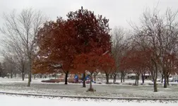 Snowy_Tot-lot.webp Snowy_Tot-lot.webp