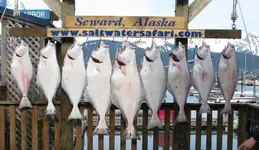 Seward_10ax.webp