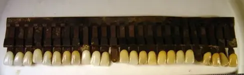 teeth.webp teeth.webp