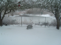 1221 005.gif