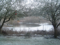 1221 004.gif