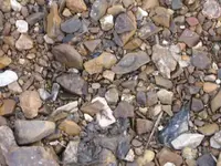 02102009 001.webp